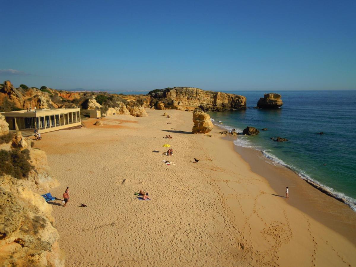 Tropicana One Bedroom Flat T1 In Albufeira Gale Close To 8 Beaches Eksteriør bilde
