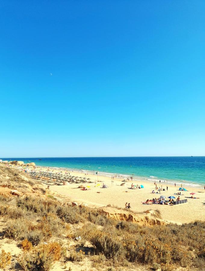 Tropicana One Bedroom Flat T1 In Albufeira Gale Close To 8 Beaches Eksteriør bilde